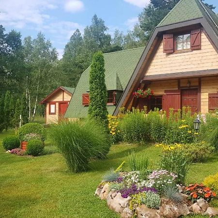 Villa Visnjin Dom à Divčibare Extérieur photo