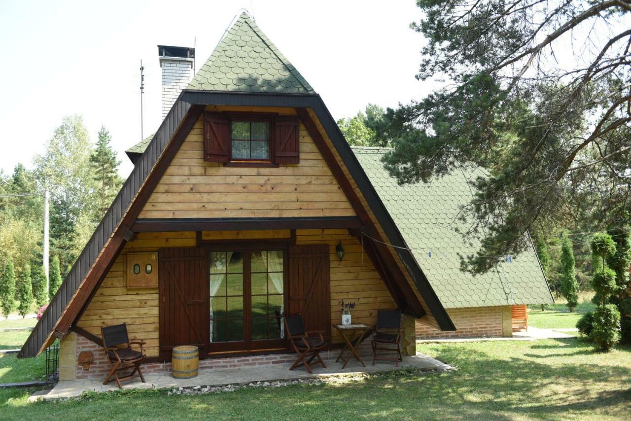 Villa Visnjin Dom à Divčibare Extérieur photo
