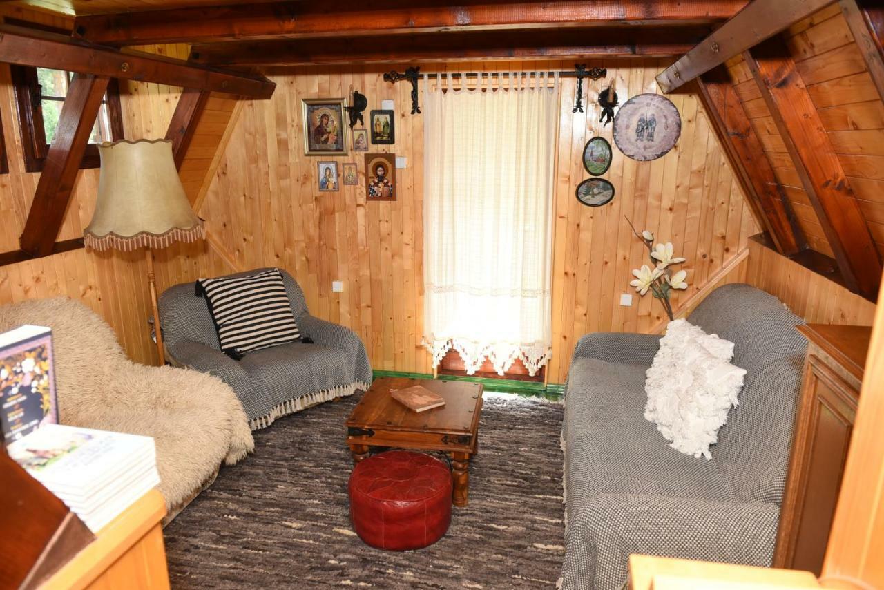 Villa Visnjin Dom à Divčibare Extérieur photo